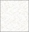 oyster shell